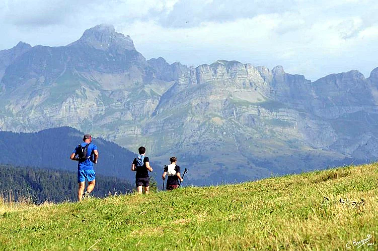 Le Mont d'Arbois - Mont Joux