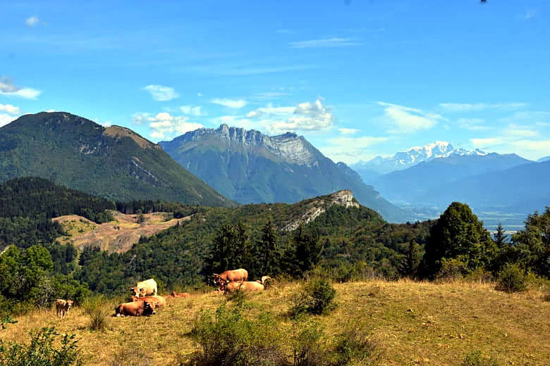 Sentier des Buis